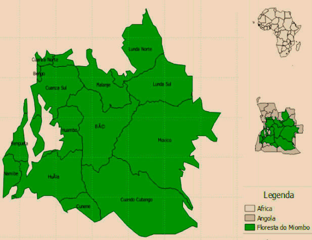 &Aacute;rea de cobertura do Miombo Angolano