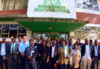 imagens da actividade