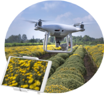 icon Acessória técnica